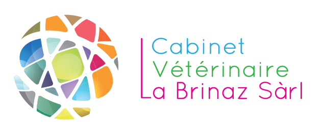 Logo Brinaz