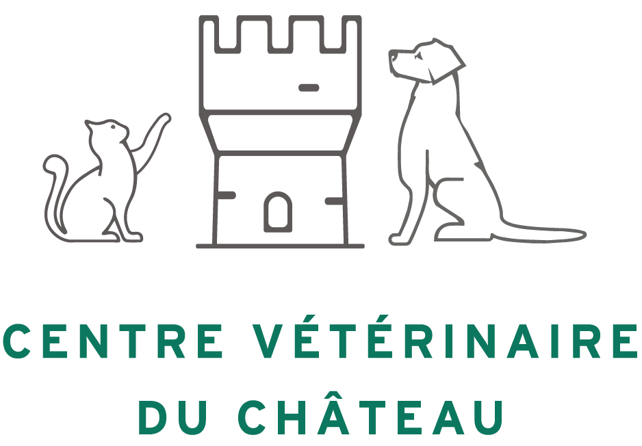 Logo Château